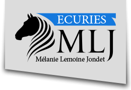 Logo Ecurie Mlanie Lemoine Jondet